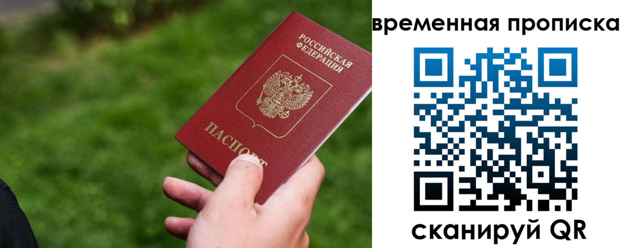 прописка 2025 в Электрогорске